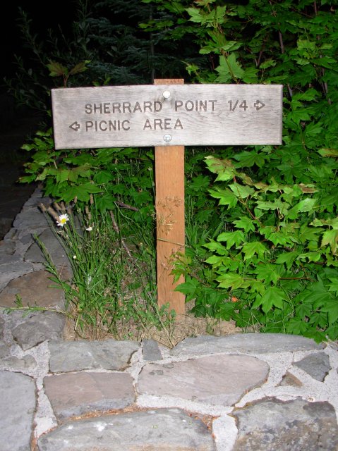 7.25.06 Larch Mountain 028 